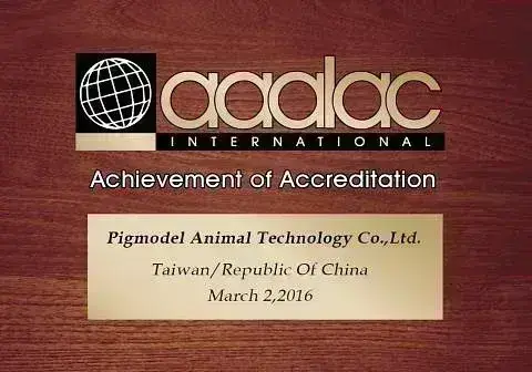 Certificate 1